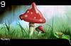Mushroom by Dr.Zulu , 393.241 bytes , 800x528
