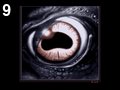 Dragon eye by Rwo , 13.282 bytes , 320x210